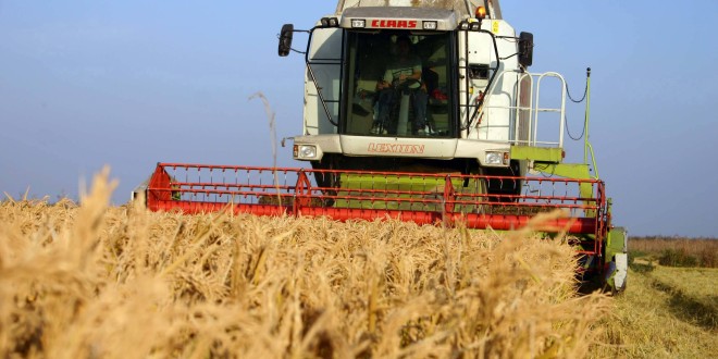Rusia, România şi Ucriana prăbuşesc preţul mondial al grâului