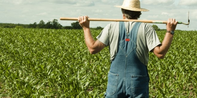 O realitate tristă: agricultorii rămân fără subvenţii
