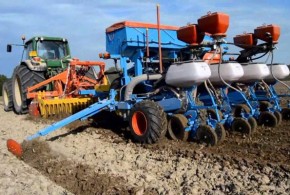 8.01.semanatul-porumbului