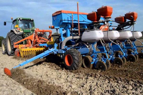 8.01.semanatul-porumbului