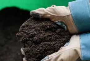 Aplicarea-ingrasamintelor-organice
