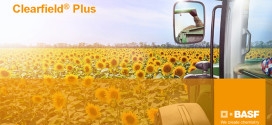 Clearfield® Plus – cea mai inovatoare tehnologie de creştere a florii-soarelui