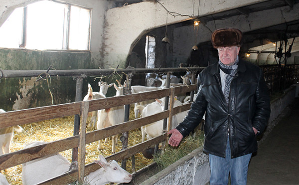 Vrem să oferim un produs cu adevărat miraculos pe piaţă Interviu-Florea1