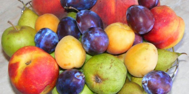 Ţările UE vor exporta fructe în SUA