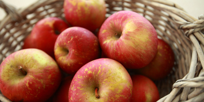 Pomicultorii polonezi sunt îngrijoraţi de scăderea exporturilor de mere
