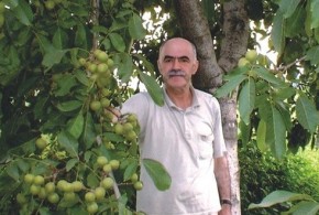 Nuci care pot aduce fermierilor un profit de 15.000 de euro pe hectar nuci