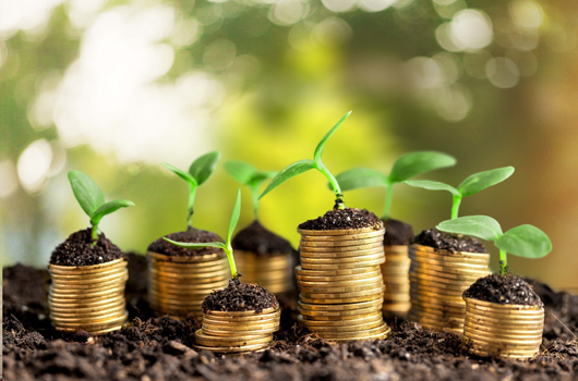 Pictor-obtine-spor-productie-BASF