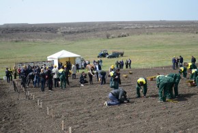 Scoala profesionala Orhei 3