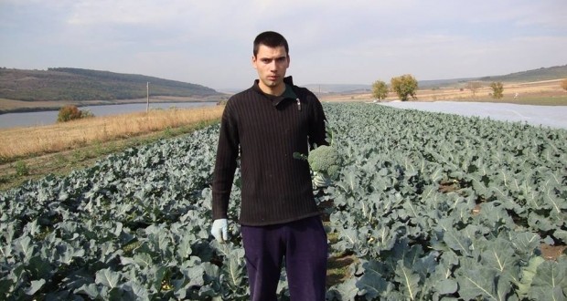 Un tânăr creşte broccoli şi conopidă la Ialoveni