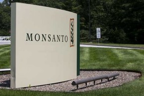 monsanto