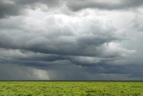 Cantitatea de precipitaţii căzută aseară a depăşit media lunară în mai multe localităţi ploaie-agricultura