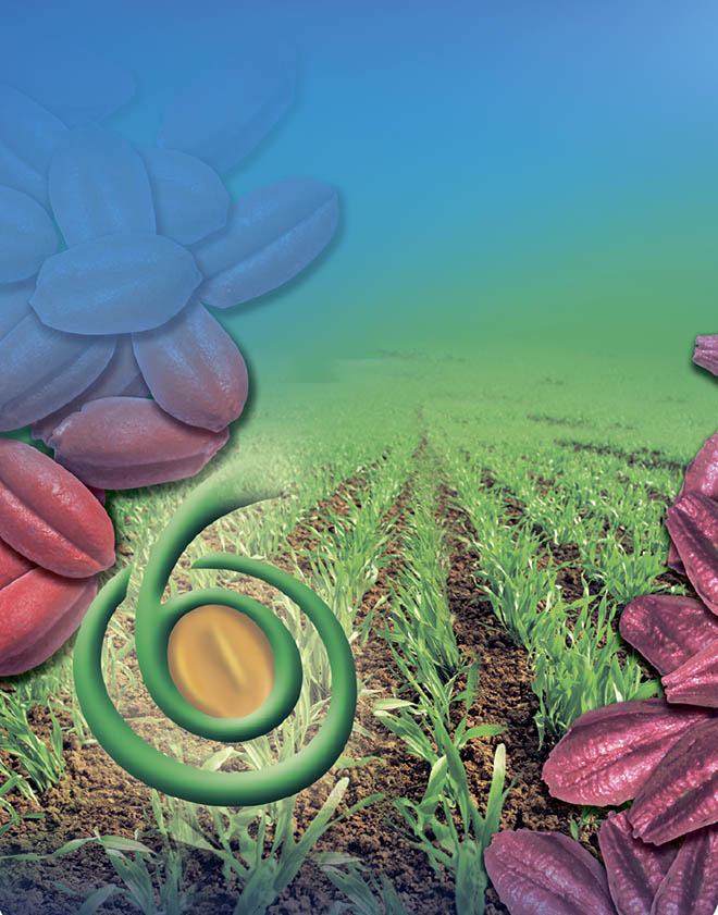 Kinto Duo - От здоровых корней - к высокому урожаю! imagine-kinto2