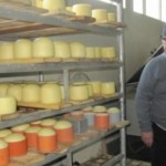 Un fermier din România înfruntă cu succes criza laptelui
