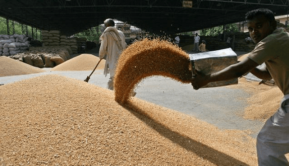 Problemele Egiptului cu importurile de grâu s-au agravat