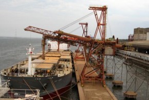 export-grau-constanta