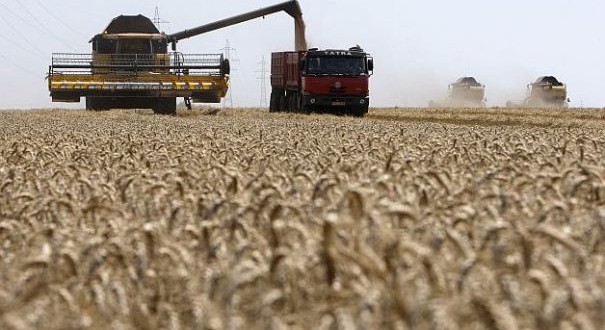 Fermierii români nu profită decât în mică măsură de recoltele-record din 2016