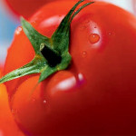 Sistemul de protecţie al culturii tomatelor cu produse BASF