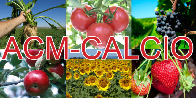 ACM-CALCIO – fertilizant foliar lichid cu un conţinut înalt de calciu