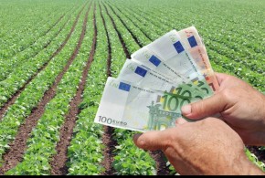 A fost aprobat Regulamentul de subvenţionare în agricultură pentru următorii 5 ani bani_fermieri