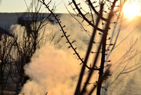 Cum protejăm livada de brumă fum-protectie-bruma