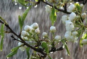 Republica Moldova sub Cod Galben de îngheţuri lapovita