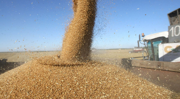 Ucraină intensifică comerţul extern cu produse agricole