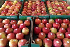 Impactul implementării DCFTA: Exportul de produse agricole moldovenești pe piața UE a crescut cu 45% mere-europa