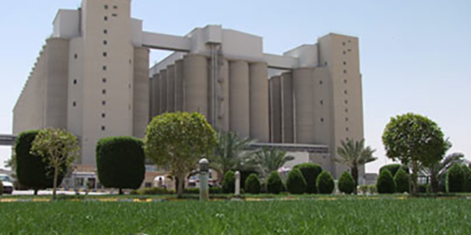 Arabia Saudită a cumpărat 1.5 milioane tone de orz la un preț mediu de 176.46 USD/t