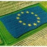 UE: suprafața agricolă scade, iar cererea de cereale crește