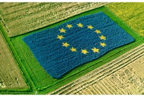 UE: suprafața agricolă scade, iar cererea de cereale crește pac