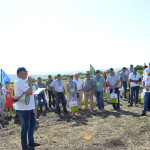 BASF și Euralis au organizat „Ziua Câmpului”. Reportaj foto