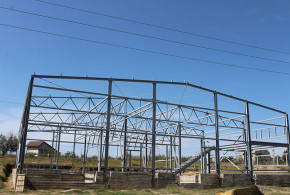 Cinci producători agricoli din Ceadîr-Lunga au fondat o cooperativă pentru a vinde mai uşor fructele. ceviz-erik2