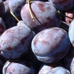 Un nou lot de prune moldovenești interzis în Federația Rusă