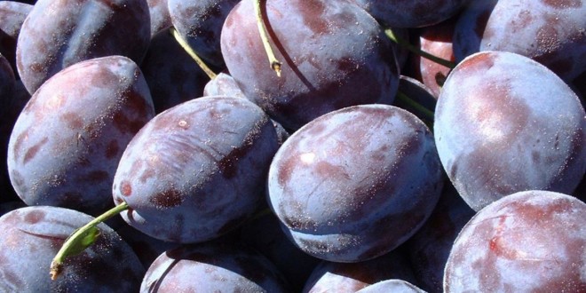 Rosselhoznadzor a interzis importul a 19 tone de prune moldovenești
