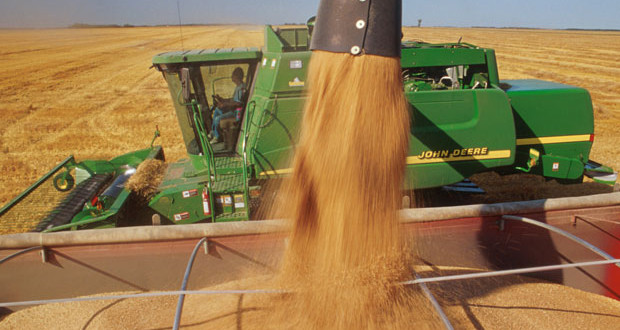 Tensiunile dintre Rusia şi Ucraina scumpesc grâul pe piaţa mondială