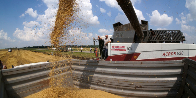 Luptă pe piața mondială a grâului: UE versus Rusia