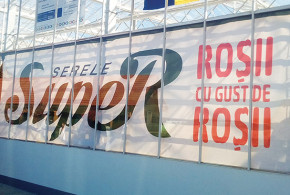 O moldoveancă din Drochia a inaugurat cea mai mare și modernă seră din România sera-romania4