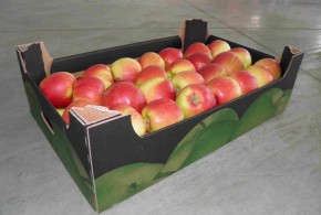 Păduchele de San Jose depistat în mere moldovenești mere-rusia