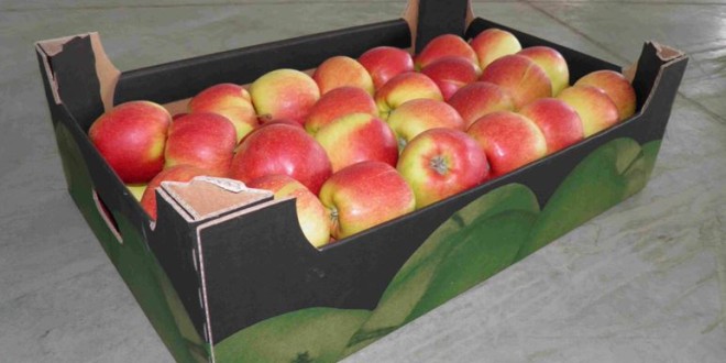 Păduchele de San Jose depistat în mere moldovenești