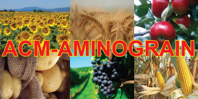 Aminograin – biostimulator cu aminoacizi
