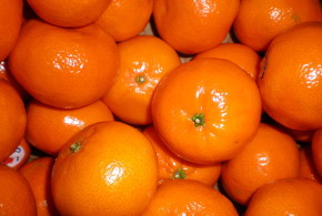 Mandarinele - cele mai exportate citrice din Turcia mandarine