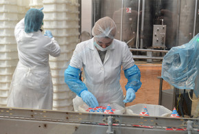 Colectăm anual peste 60 mii tone de lapte de la 25 de ferme şi de la peste 5000 de producători individuali proces-producere-jlc