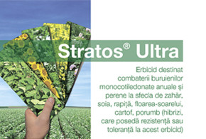 Stratos Ultra – cea mai eficientă soluție în combaterea buruienilor și samuraslei în cultura de rapiță stratos-ultra-logo2