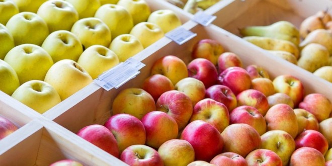 De ce în anul curent au scăzut preţurile la mere?