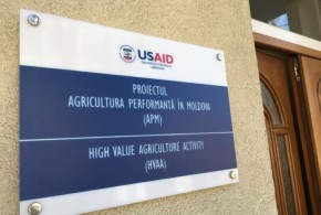 Granturi pentru promovarea exportului de fructe și struguri APM