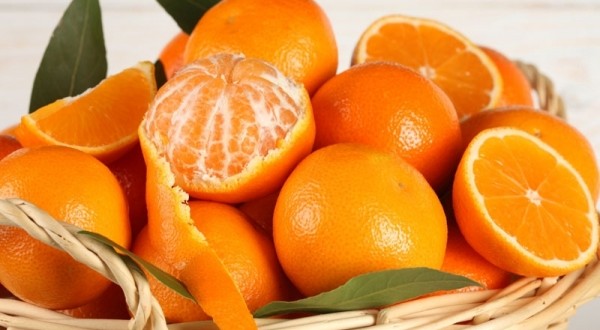 Egiptul ar putea deveni exportatorul de portocale nr. 1 în lume
