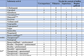 eficacitate-fungicide3