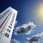 Temperaturile optime pentru aplicarea diferitor substanțe active
