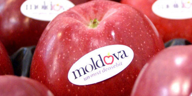 Vești bune pentru pomicultorii din Moldova: Iranul limitează drastic exporturile de mere