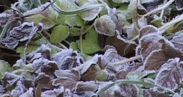 Cod Galben de îngheț pe întreg teritoriul Republicii Moldova